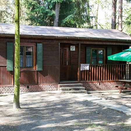 Lesna Ryba Jedlanka Stara Quarto foto